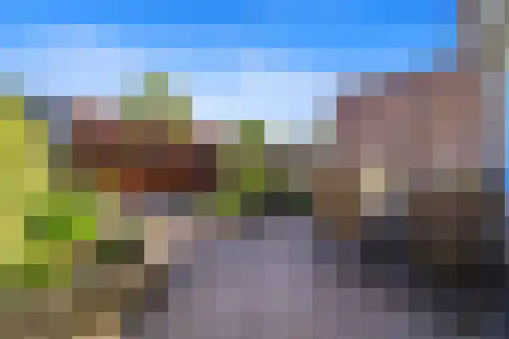 Morgentale 12 Maasland thumbnail 17