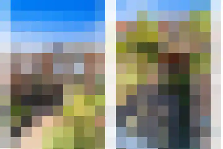 Morgentale 12 Maasland thumbnail 20