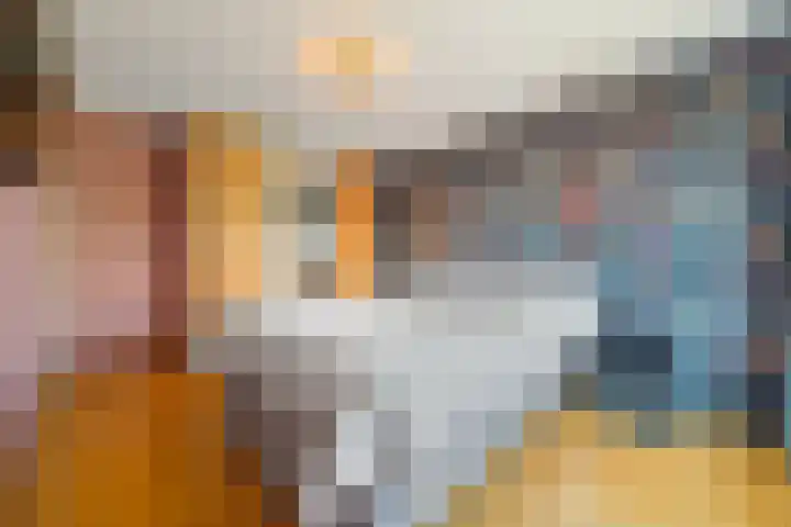 Morgentale 12 Maasland thumbnail 24