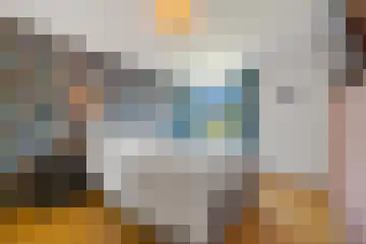 Morgentale 12 Maasland thumbnail 25