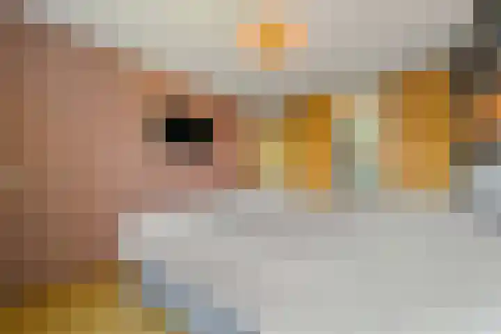 Morgentale 12 Maasland thumbnail 26