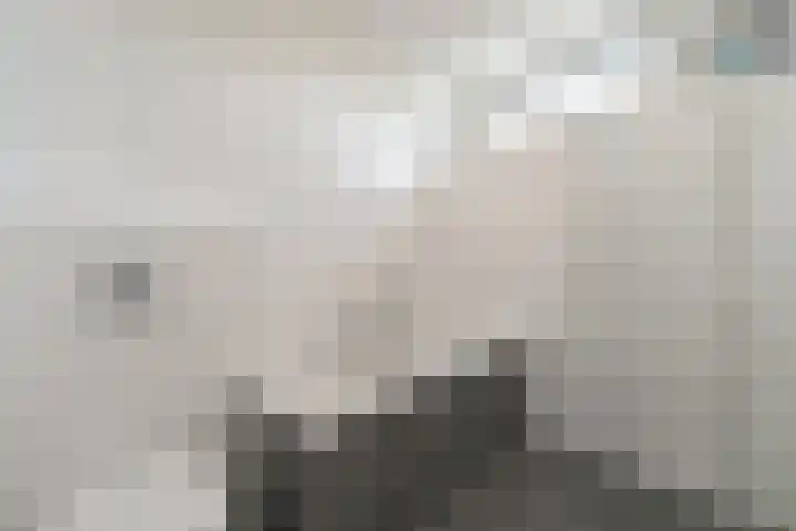 Morgentale 12 Maasland thumbnail 27