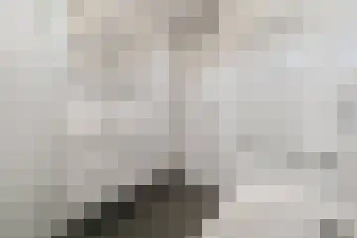 Morgentale 12 Maasland thumbnail 28