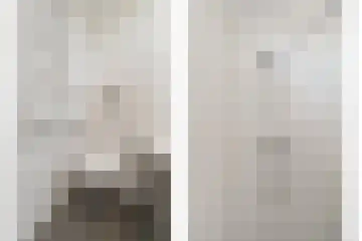 Morgentale 12 Maasland thumbnail 29