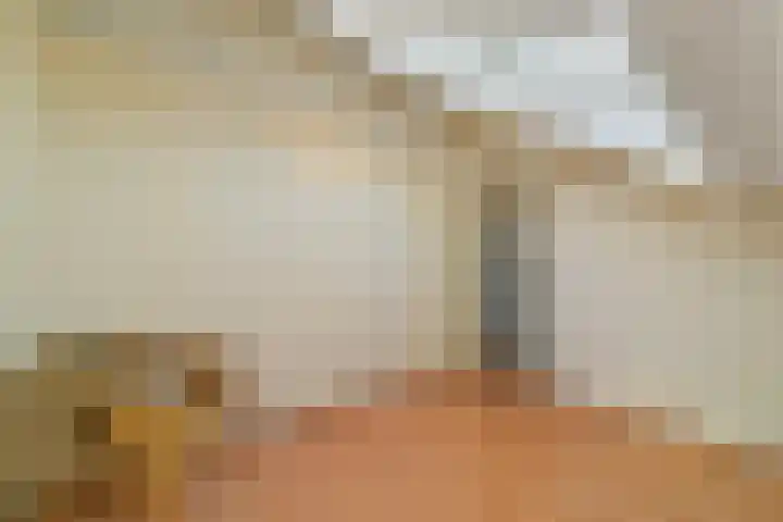 Morgentale 12 Maasland thumbnail 35
