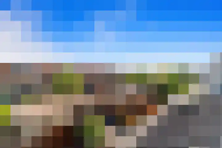 Morgentale 12 Maasland thumbnail 38