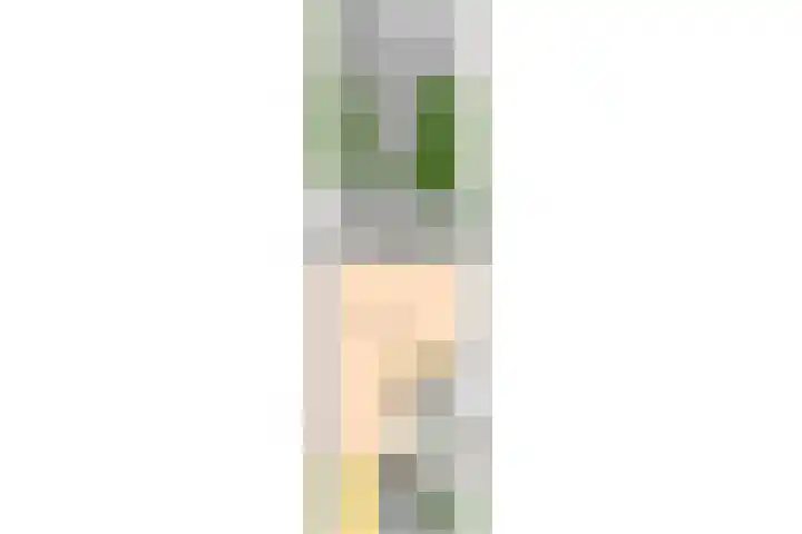 Morgentale 12 Maasland thumbnail 44