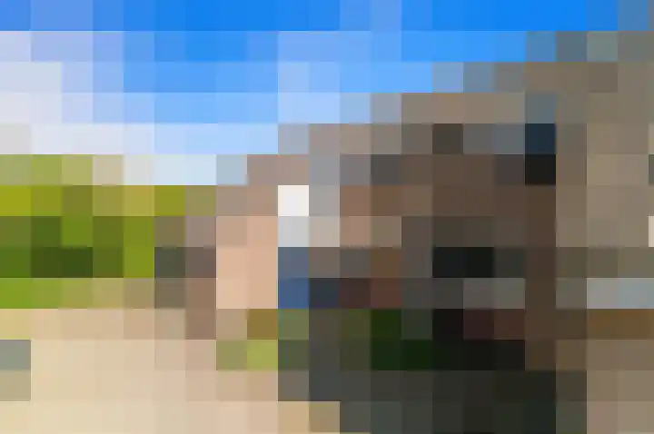 Morgentale 12 Maasland thumbnail 45