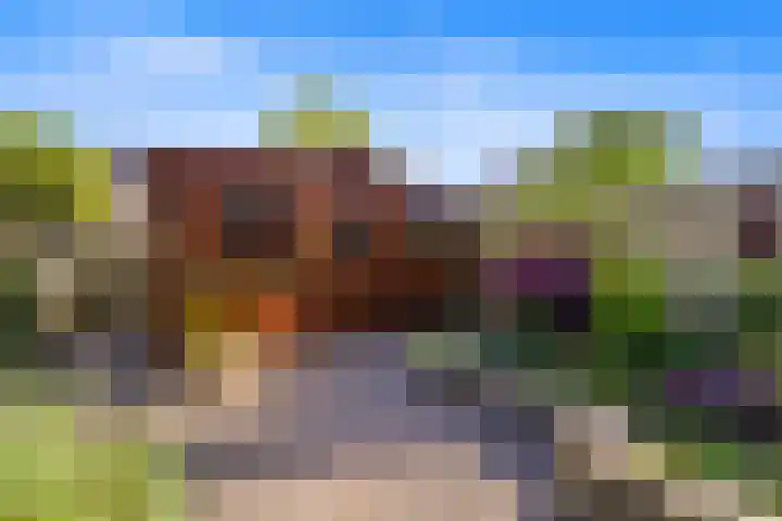 Morgentale 12 Maasland thumbnail 5