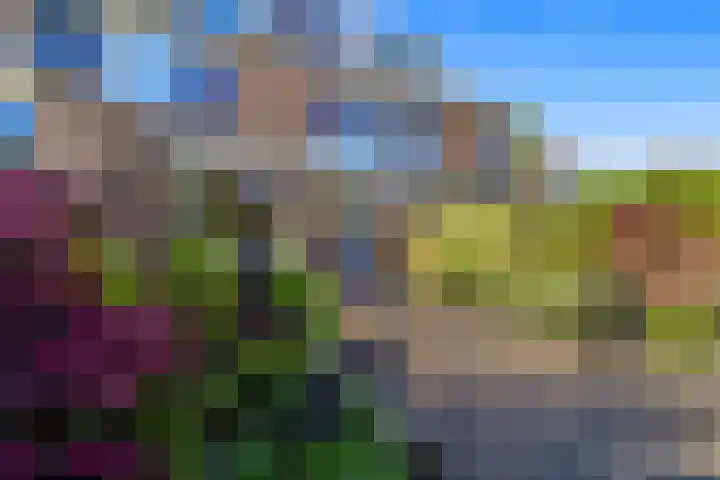 Morgentale 12 Maasland thumbnail 6