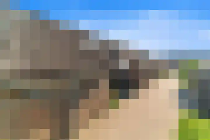Morgentale 12 Maasland thumbnail 8