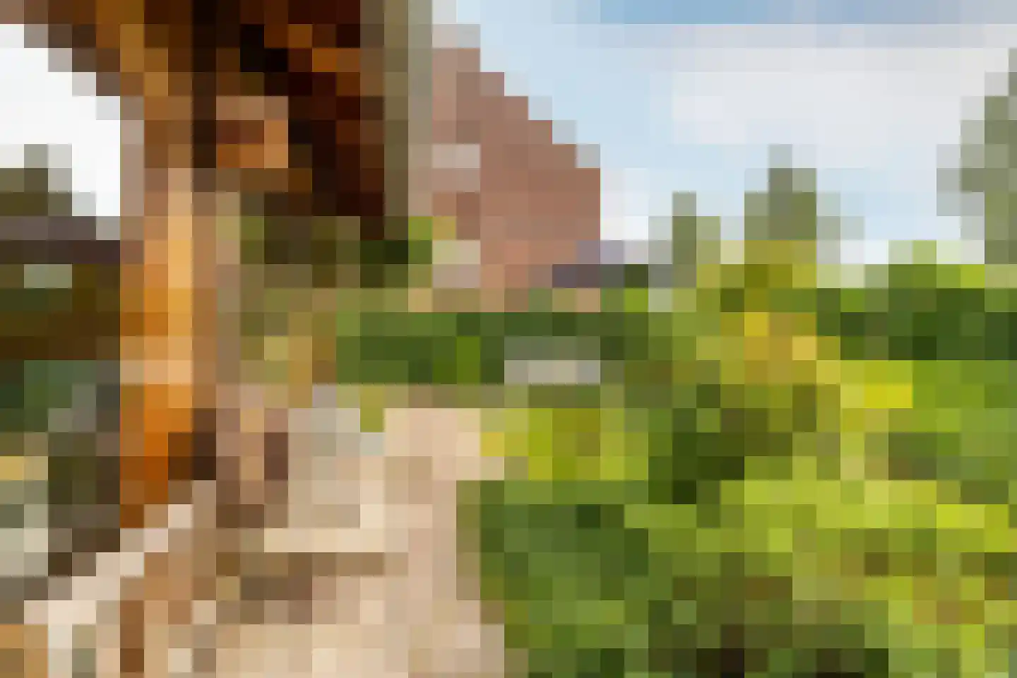 Morgenweg 20 Middenbeemster thumbnail 45