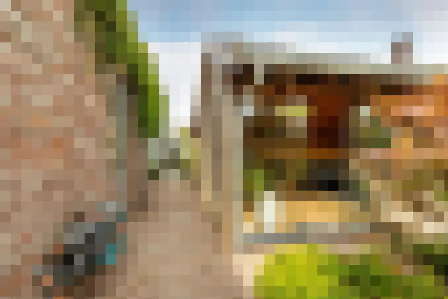 Morgenweg 20 Middenbeemster thumbnail 46