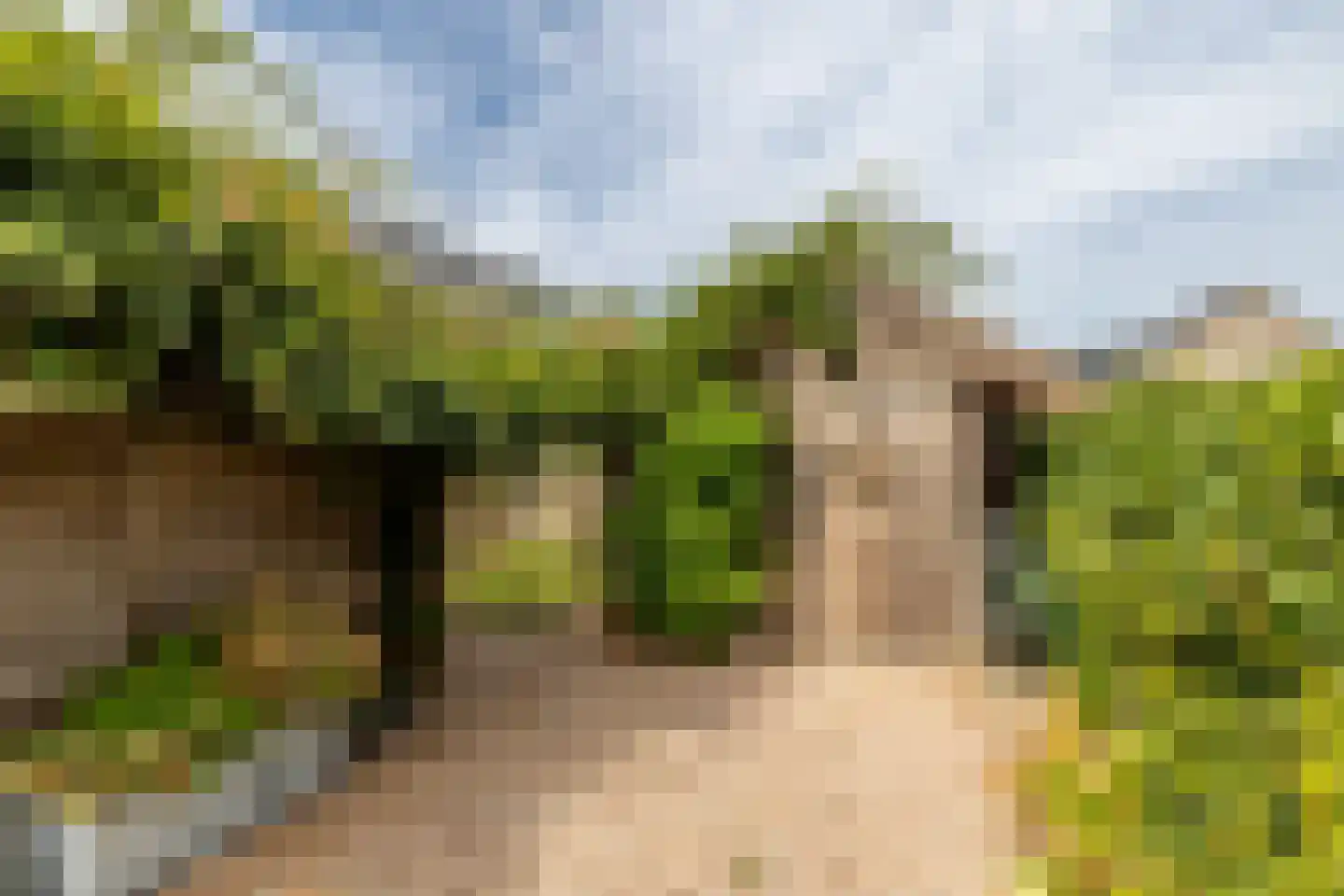 Morgenweg 20 Middenbeemster thumbnail 55