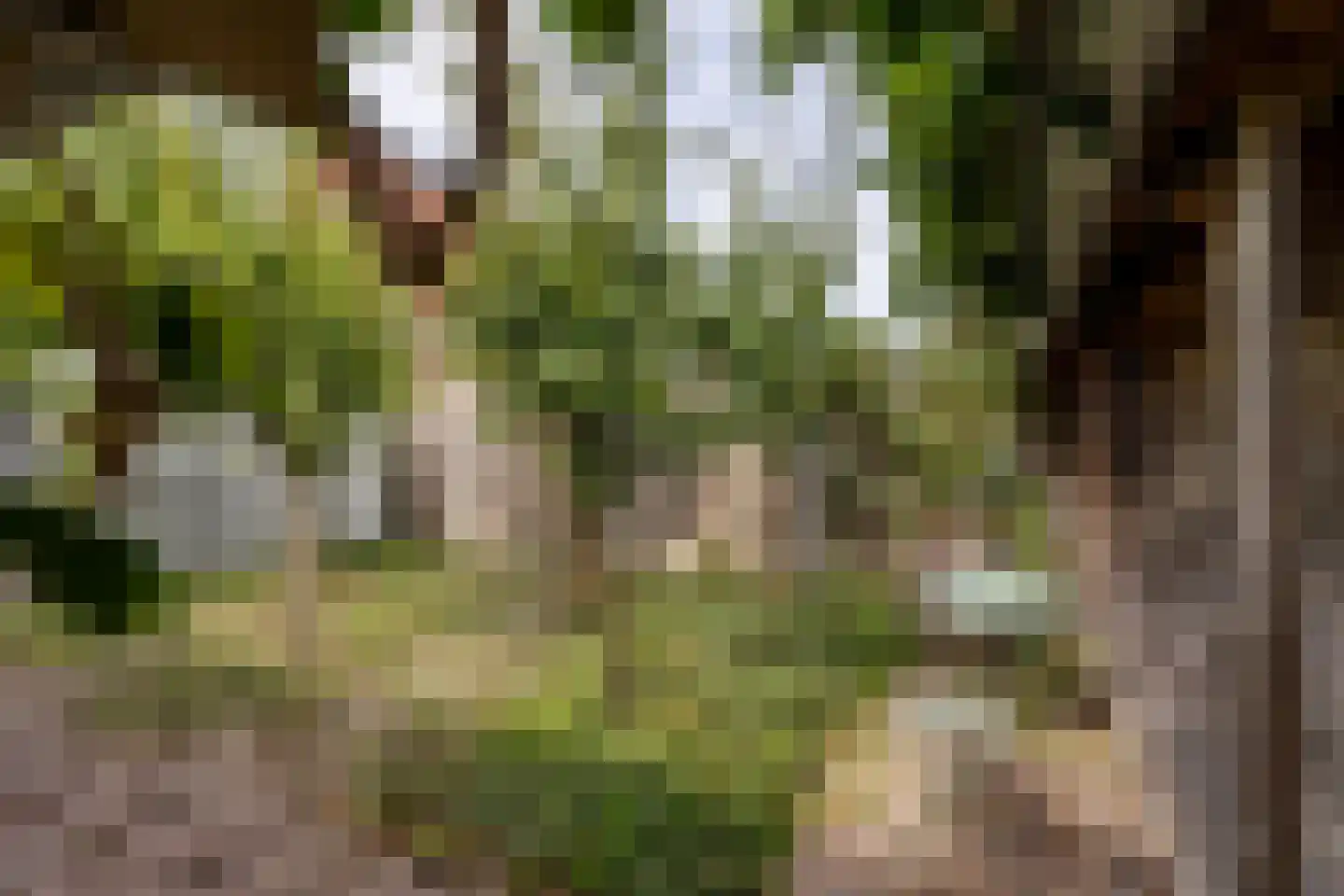 Morgenweg 20 Middenbeemster thumbnail 56
