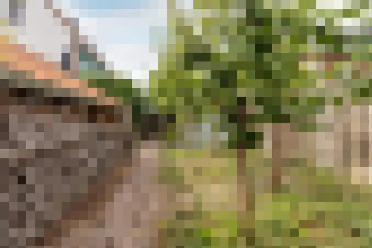 Morgenweg 20 Middenbeemster thumbnail 57