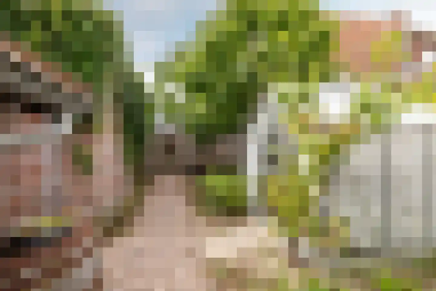 Morgenweg 20 Middenbeemster thumbnail 58