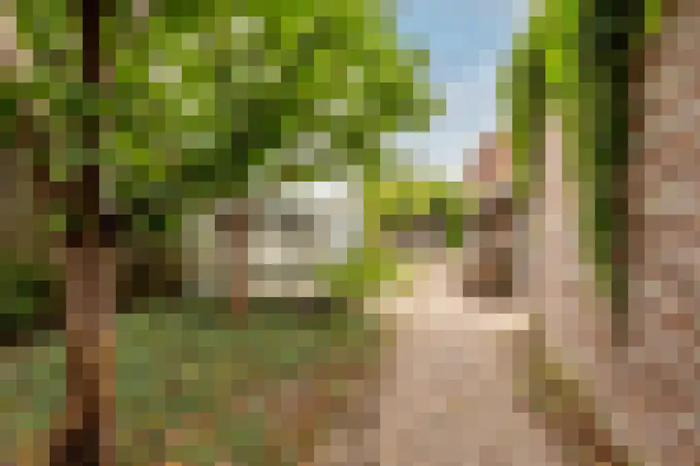 Morgenweg 20 Middenbeemster thumbnail 59