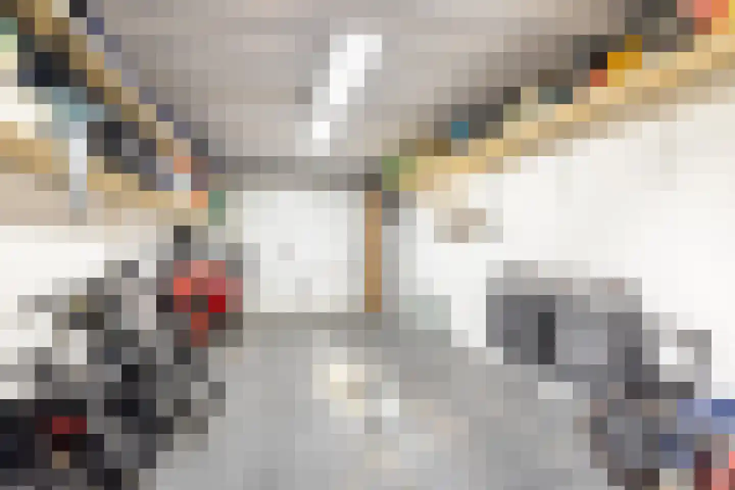 Morgenweg 20 Middenbeemster thumbnail 62