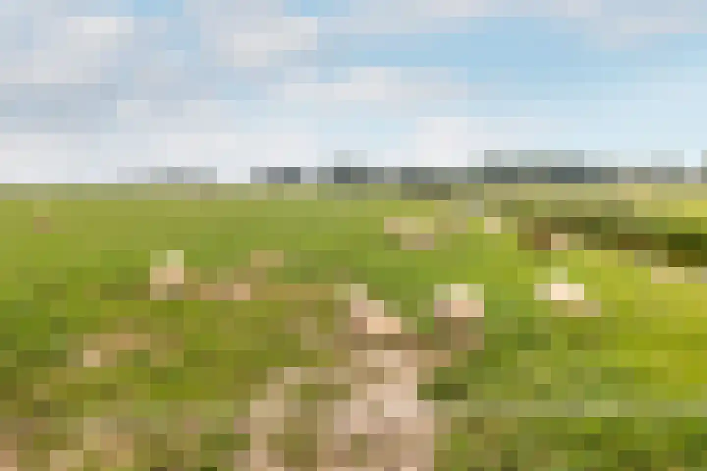 Morgenweg 20 Middenbeemster thumbnail 71