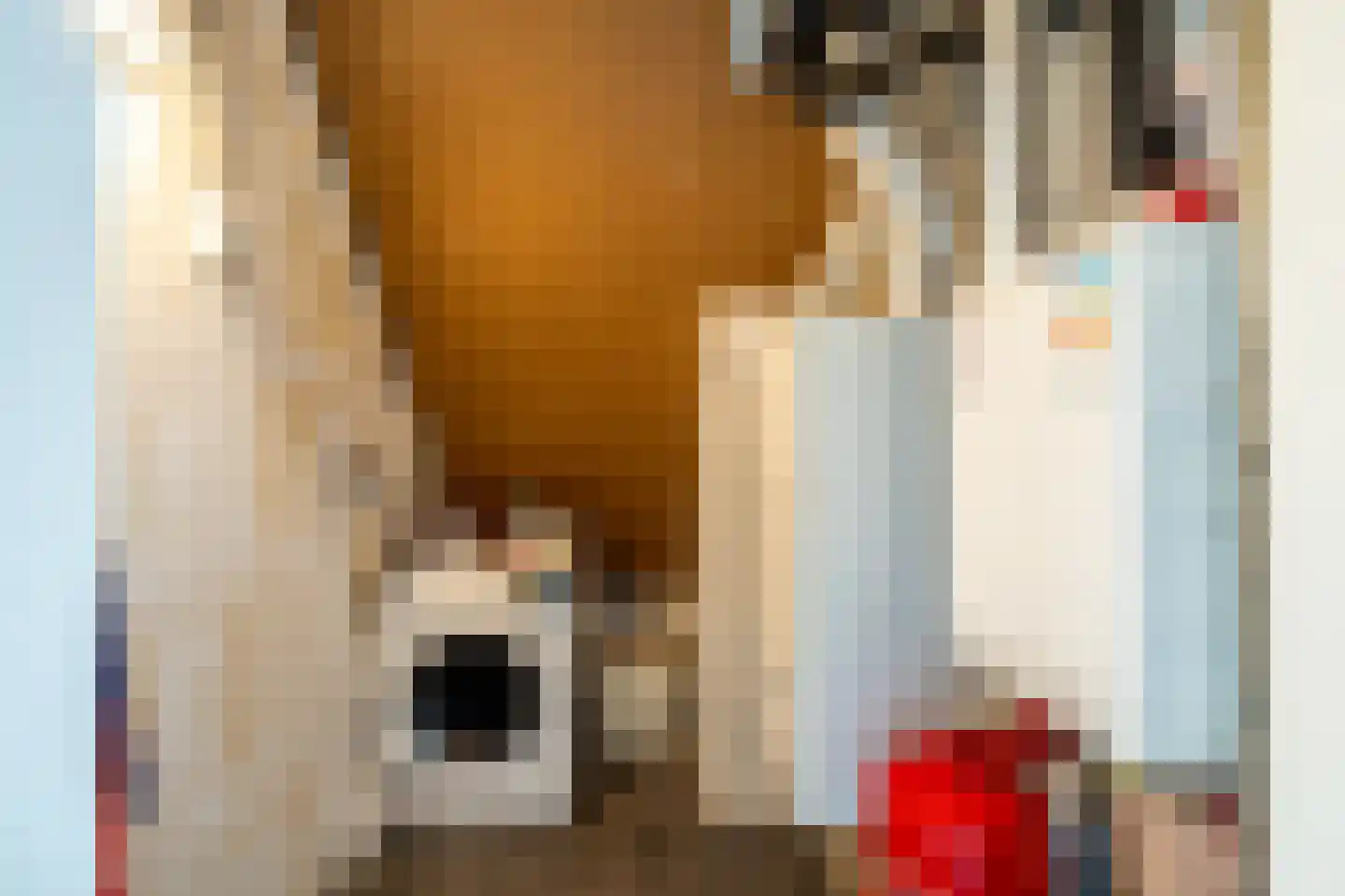 Morgenweg 20 Middenbeemster thumbnail 83