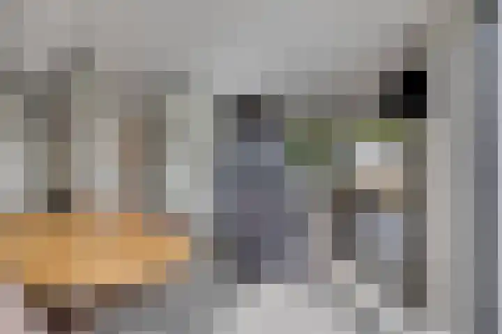 Morgenweg 49 Uden thumbnail 10