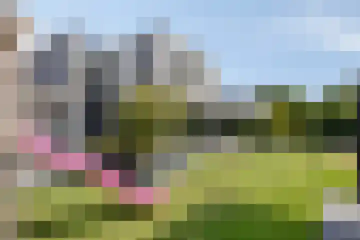 Morgenweg 49 Uden thumbnail 48