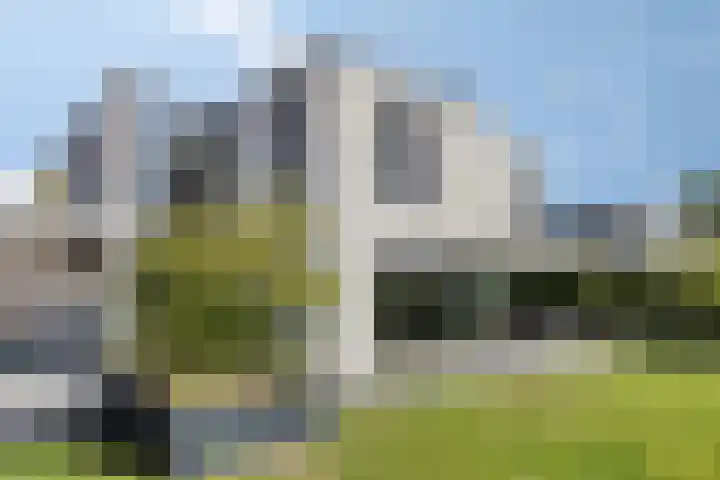Morgenweg 49 Uden thumbnail 49