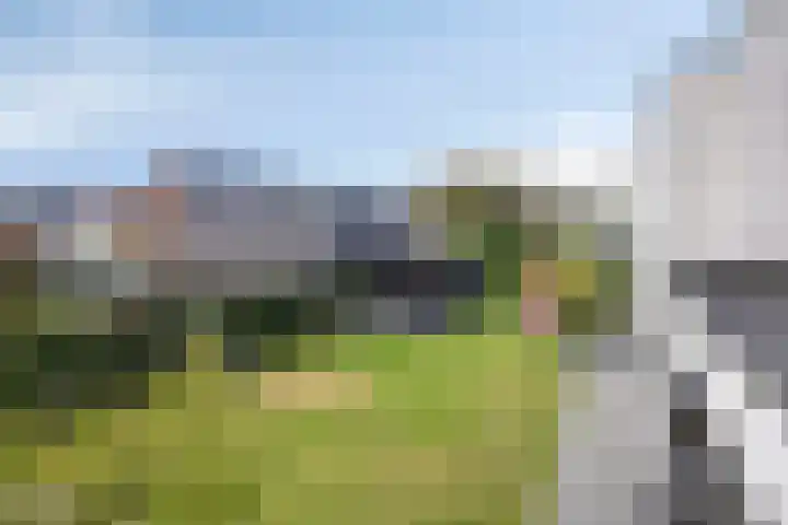 Morgenweg 49 Uden thumbnail 50