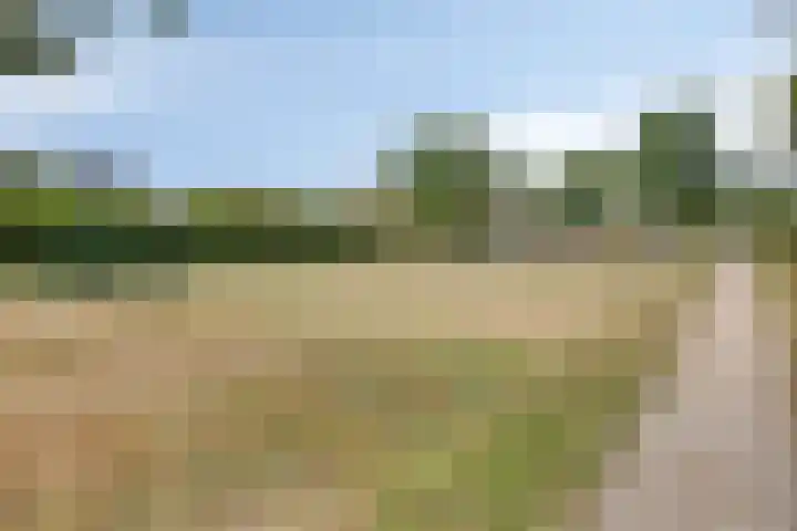 Morgenweg 49 Uden thumbnail 54