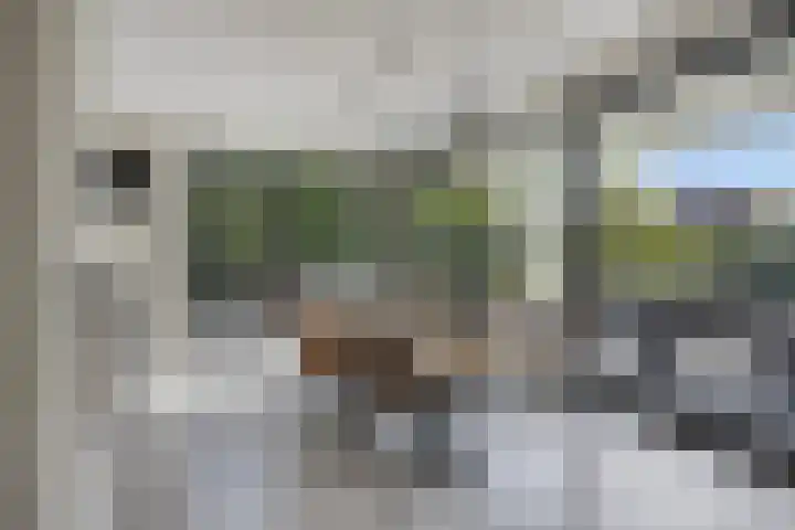 Morgenweg 49 Uden thumbnail 9