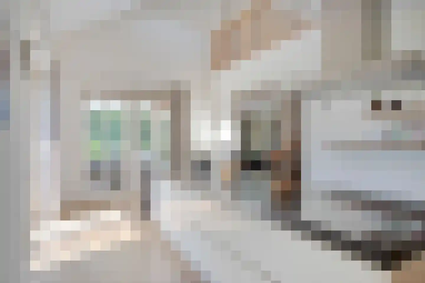 Morgenweg 59 Uden thumbnail 18
