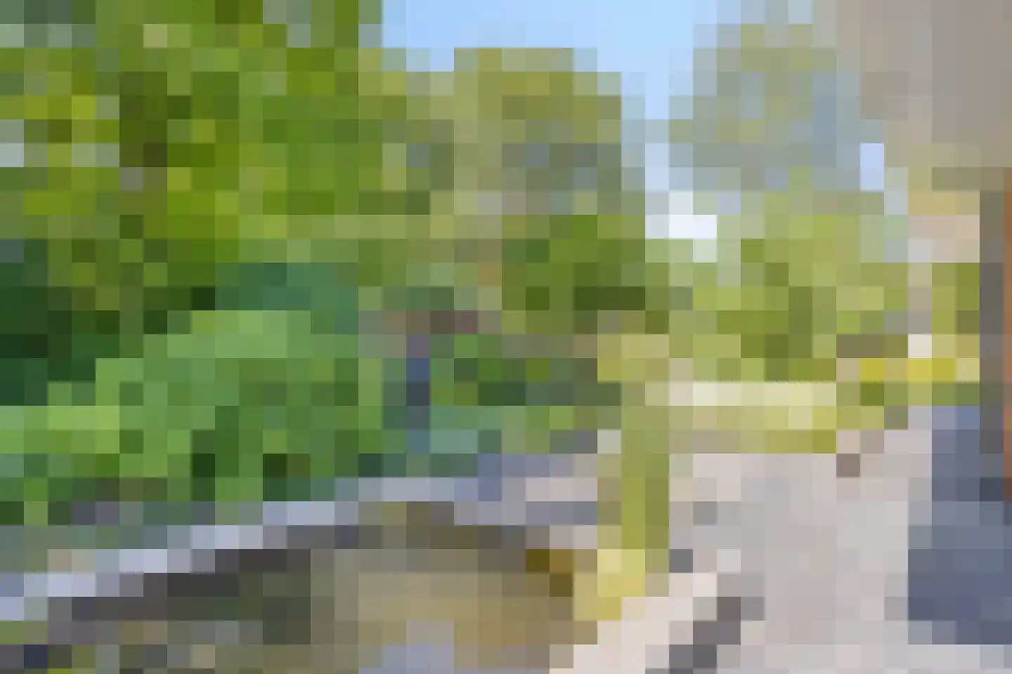 Morgenweg 59 Uden thumbnail 48