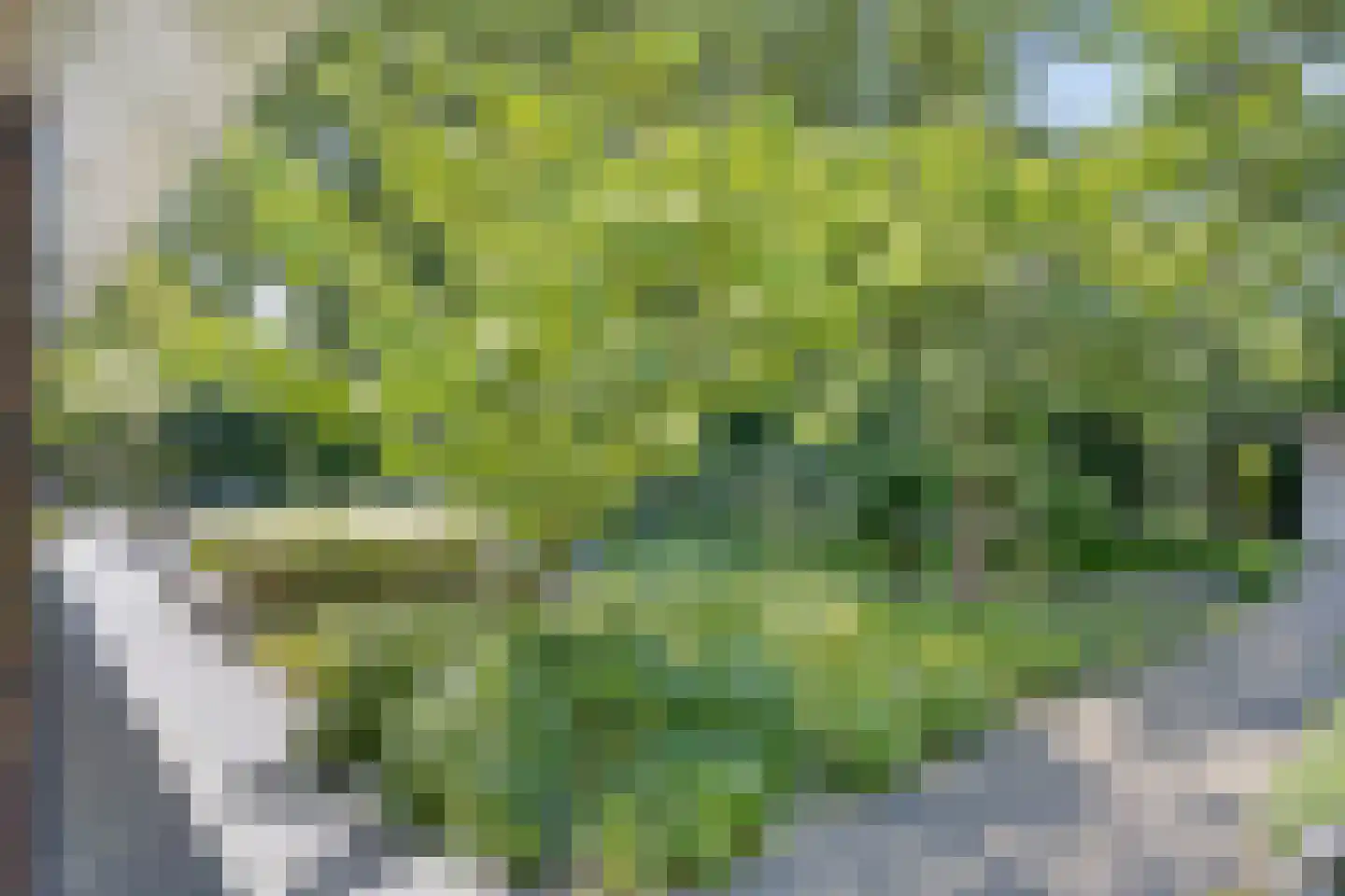 Morgenweg 59 Uden thumbnail 49