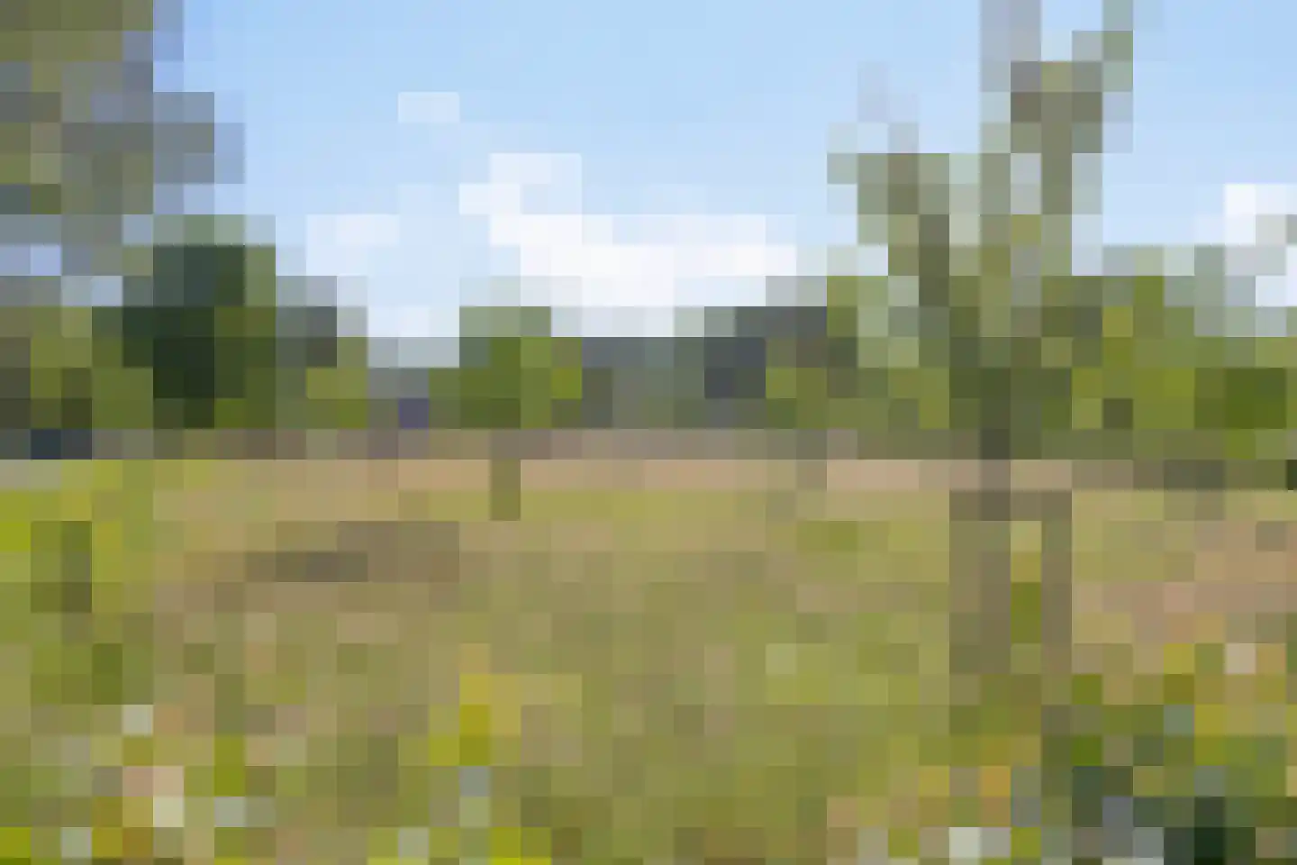 Morgenweg 59 Uden thumbnail 55