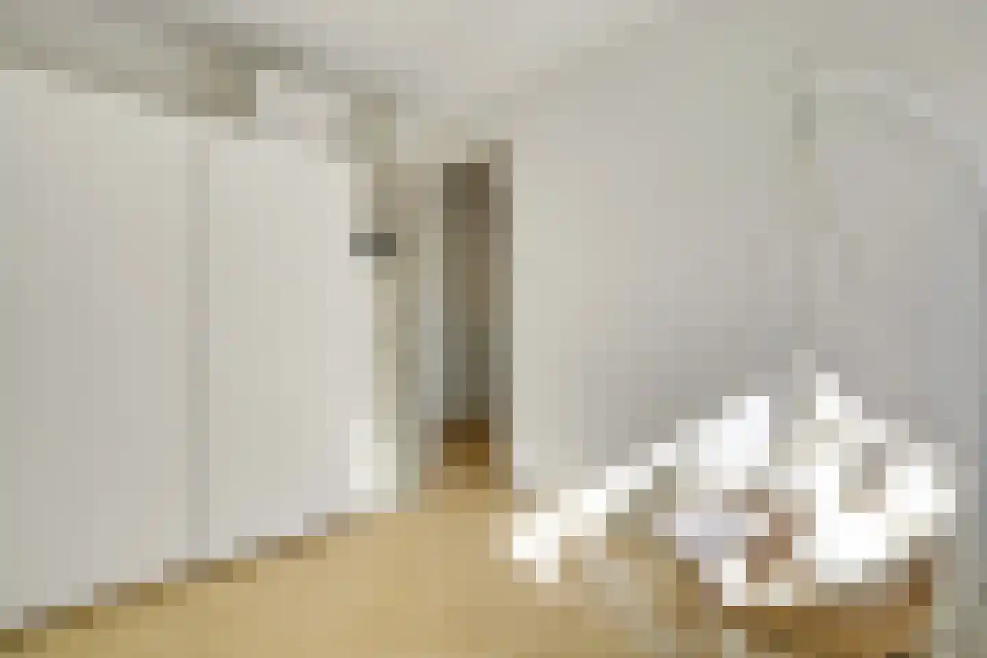 Morgenzonlaan 17 Den Haag thumbnail 32