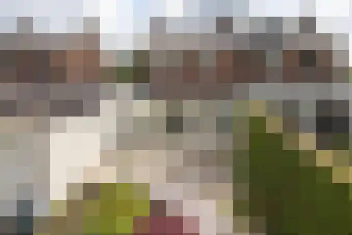 Morgenzonstraat 22 Groenlo thumbnail 23