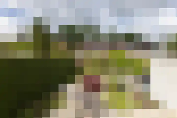 Morgenzonstraat 22 Groenlo thumbnail 26