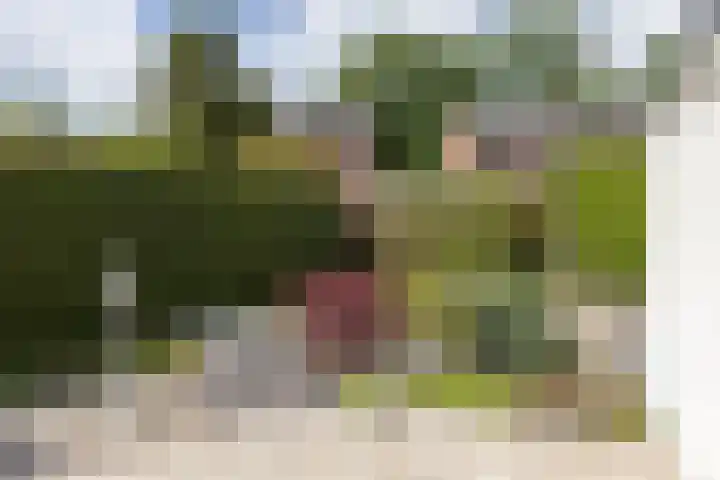 Morgenzonstraat 22 Groenlo thumbnail 27