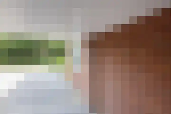 Morgenzonstraat 22 Groenlo thumbnail 29