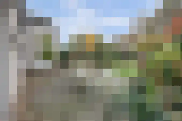 Morgenzonweg 121 Winterswijk thumbnail 33