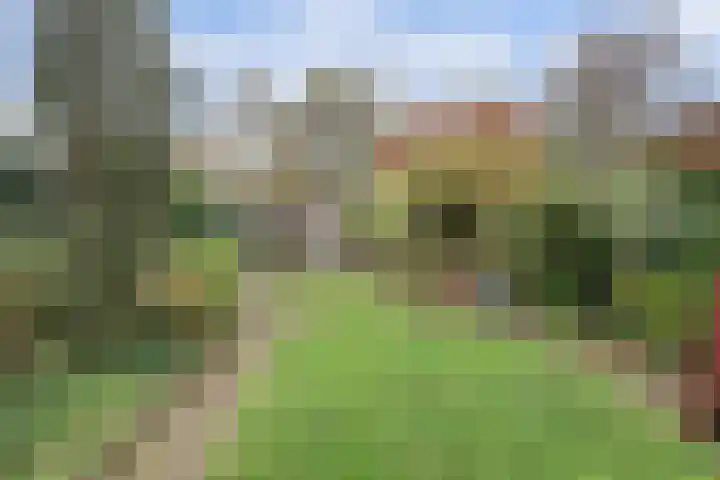Morgenzonweg 121 Winterswijk thumbnail 34