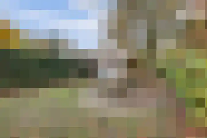 Morgenzonweg 121 Winterswijk thumbnail 37