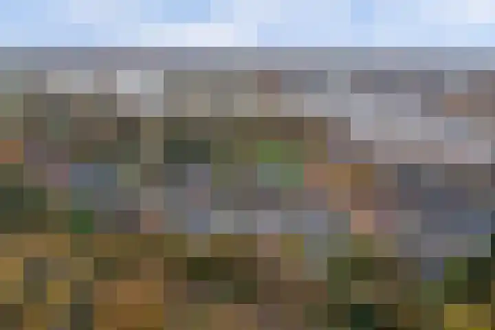 Morgenzonweg 121 Winterswijk thumbnail 46