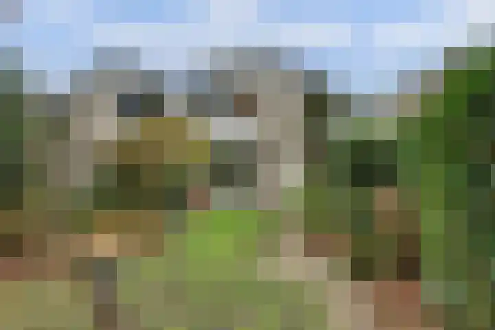 Morgenzonweg 121 Winterswijk thumbnail 5