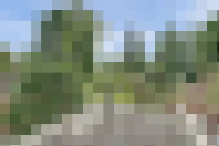 Morgenzonweg 15 Winterswijk thumbnail 34