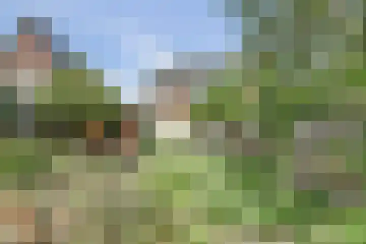 Morgenzonweg 15 Winterswijk thumbnail 39