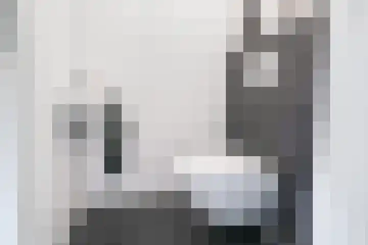 Morgenzonweg 35 Winterswijk thumbnail 9