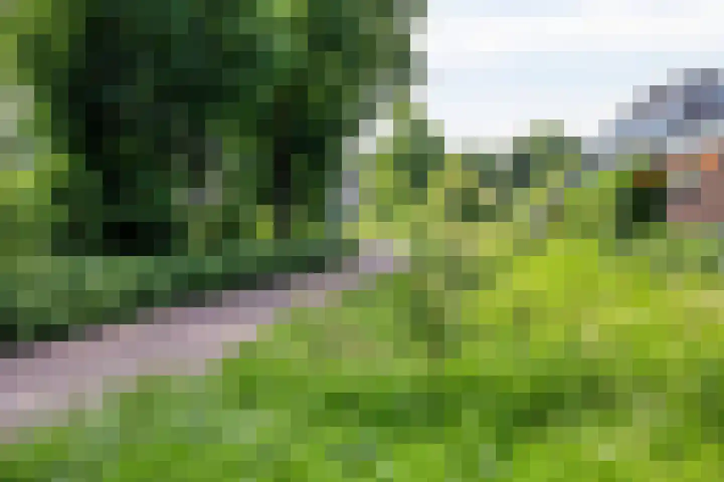 Morgenzonweg 43 Winterswijk thumbnail 29