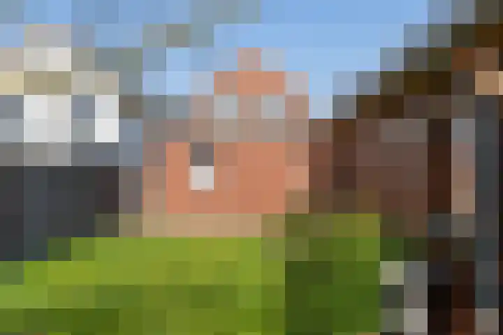 Morgenzonweg 47 Winterswijk thumbnail 45